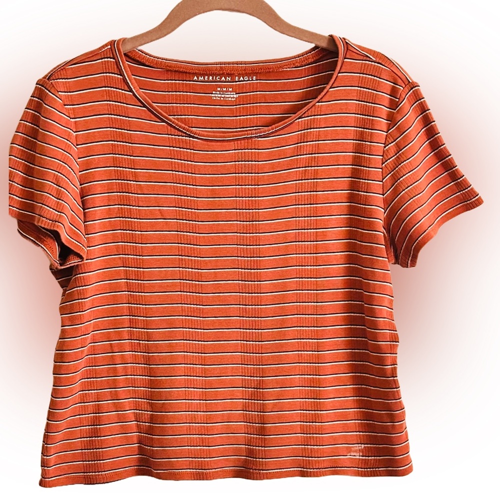 American Eagle Y2K Crop Top